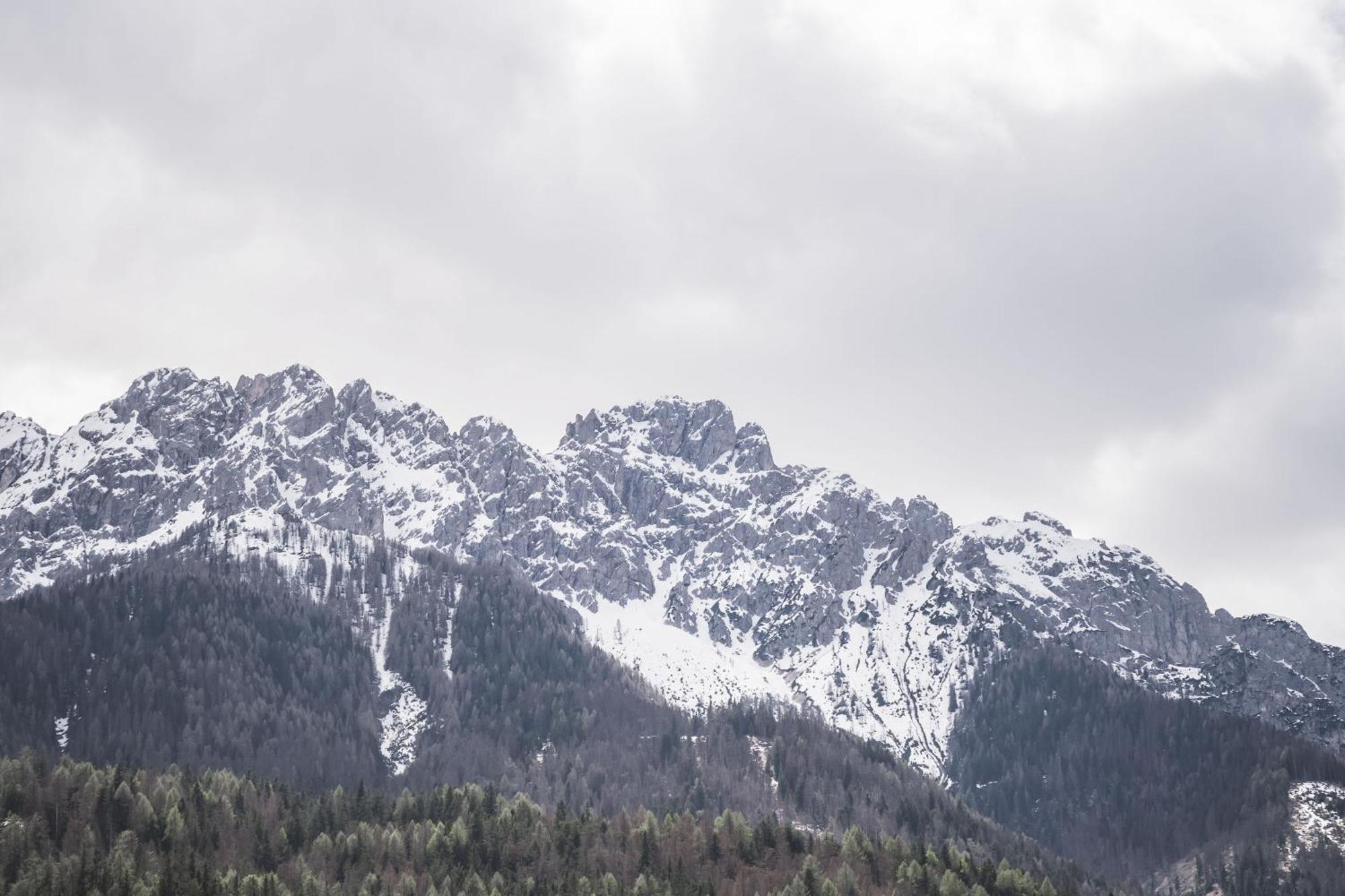 Wachtler Dolomite Apartments Innichen Exteriör bild
